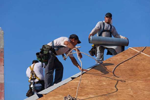 Best Roof Gutter Cleaning  in Robstown, TX