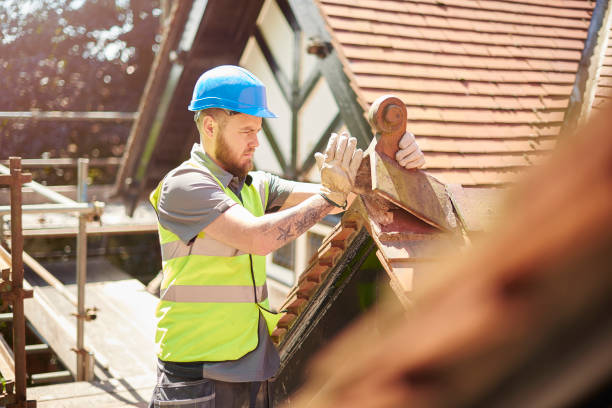 Best Roof Maintenance Services  in Robstown, TX